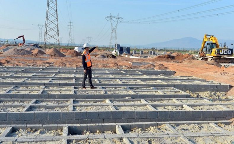 İzmir'de sokak hayvanlarına iki yeni yuva geliyor